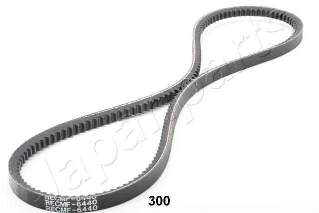 TT-300_1.JPG