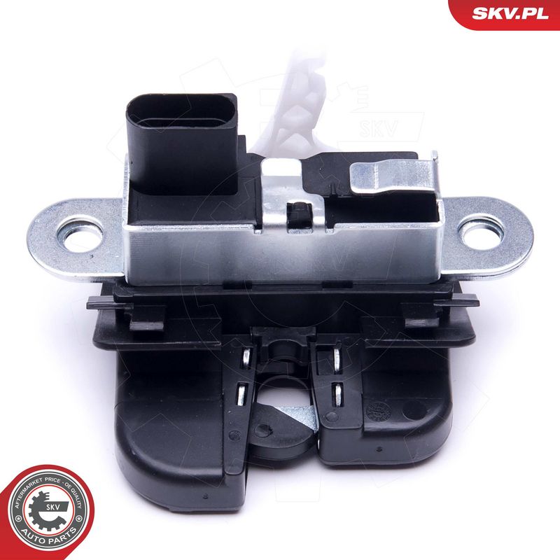 Tagaluugi sulgur, ESEN SKV 16SKV249