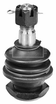BBJ5454_206862.JPG