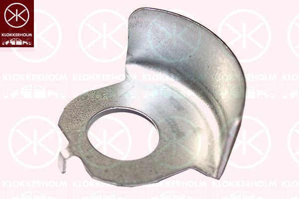 Stænkskærm, bremseskive