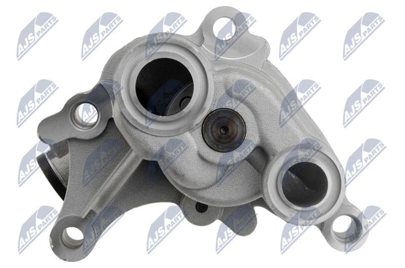 NTY BPO-NS-001 Oil Pump