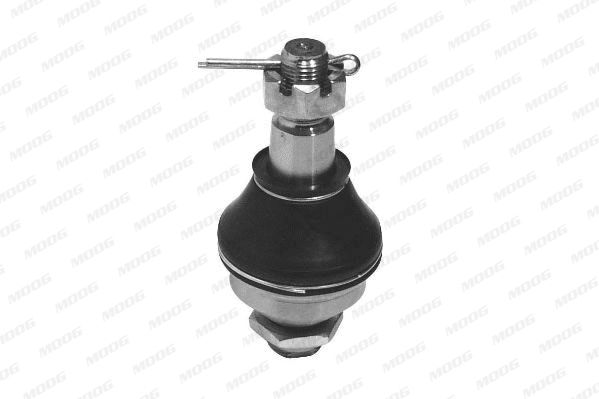 PE-BJ-3187_37495.JPG