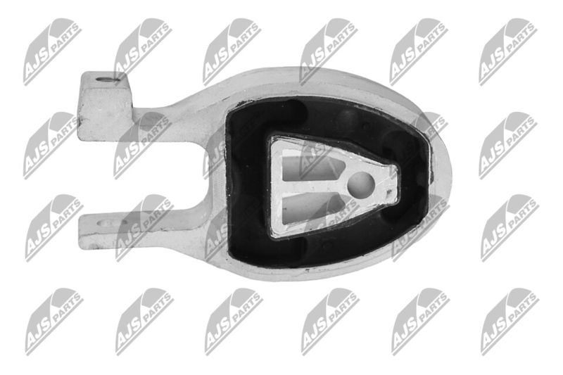 Paigutus, Mootor, NTY ZPS-FR-010