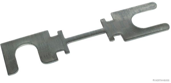 50295280.JPG