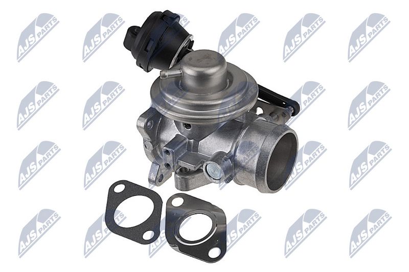 EGR-klapp, NTY EGR-WW-031