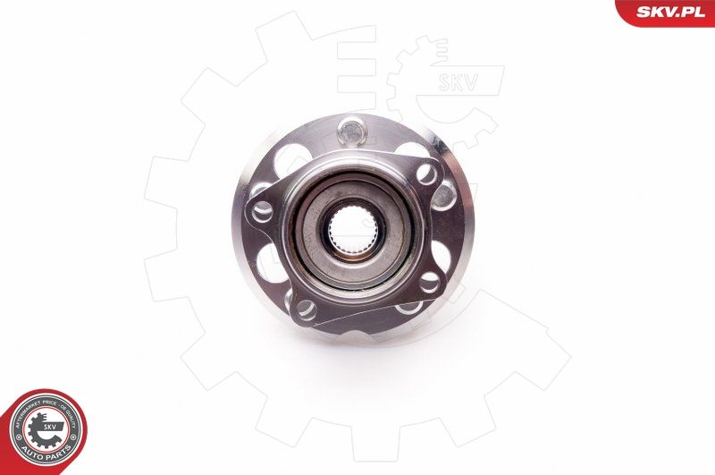 ESEN SKV 29SKV032 Wheel Bearing Kit