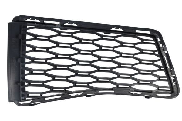 BLIC 6502-07-0067945P Ventilation Grille, bumper