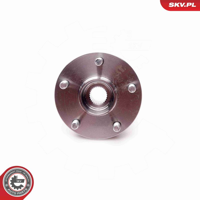 ESEN SKV 29SKV037 Rato guolio komplektas