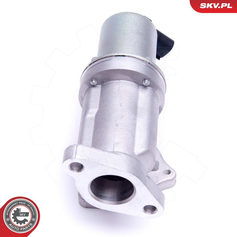 EGR-klapp, ESEN SKV 14SKV209