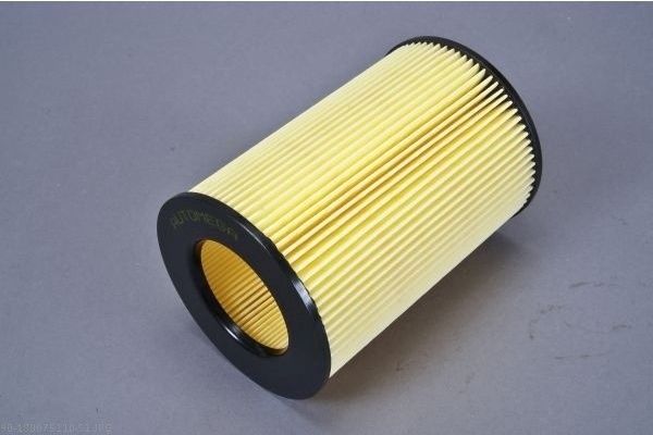 AUTOMEGA 180075110 Air Filter