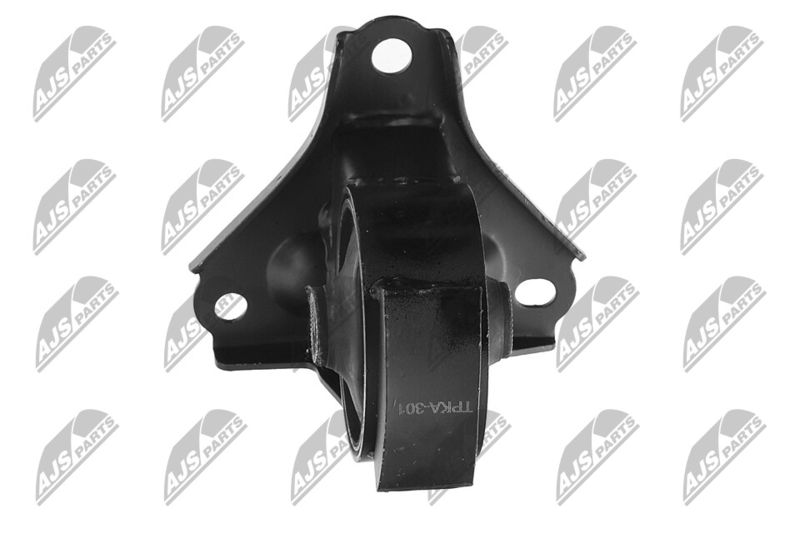 Paigutus, Mootor, NTY ZPS-KA-301