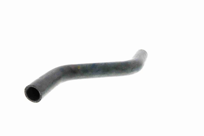 VAICO V10-0053 Radiator Hose