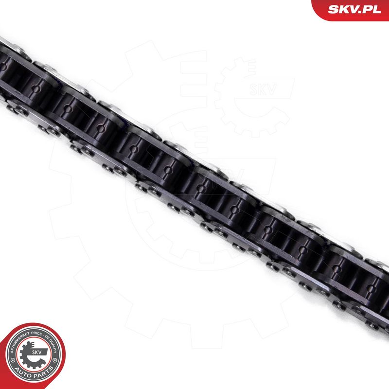 Mootori keti komplekt, ESEN SKV 21SKV249
