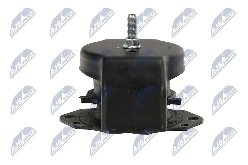 Paigutus, Mootor, NTY ZPS-MS-011