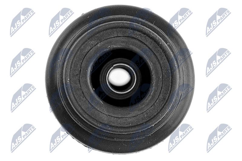 Pistik, Süütepool, NTY ECZ-CT-000A