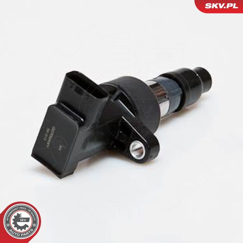 Süütepool, ESEN SKV 03SKV171