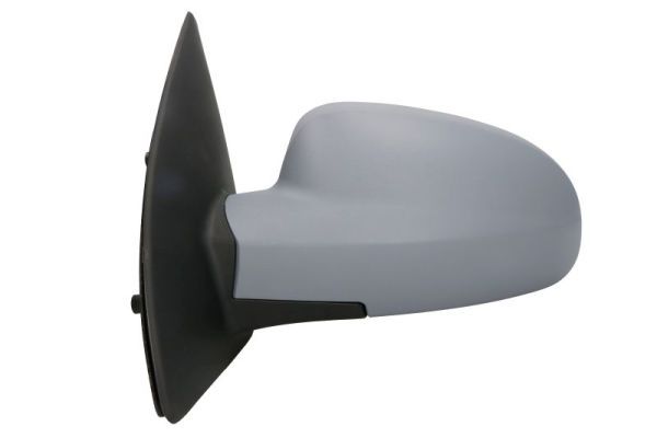 BLIC 5402-56-005365P Exterior Mirror