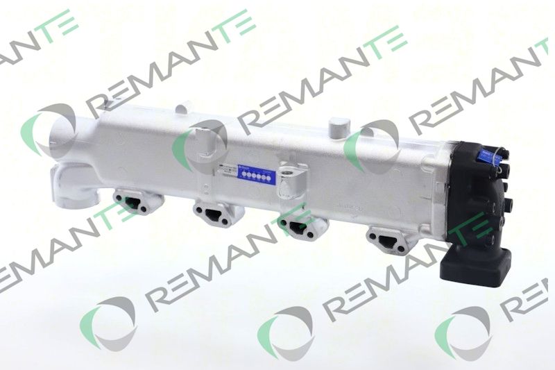 REMANTE 010-001-000003R EGR Module