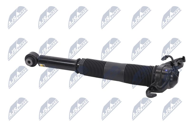 Amort, NTY A-LR-022