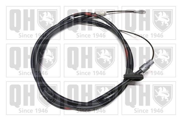QH_BC3829.JPG