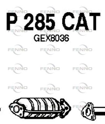P285CAT.JPG