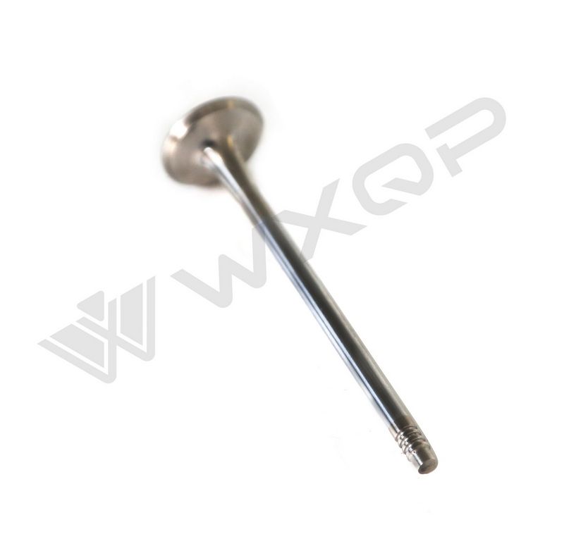 WXQP 211171 Port Valve