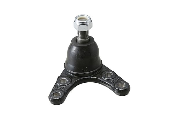 JBJMZ-005 01.JPG