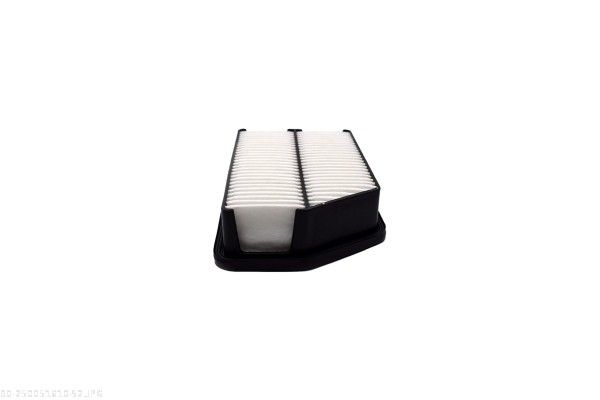 AUTOMEGA 250051610 Air Filter