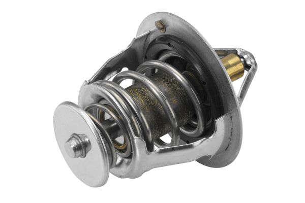 BorgWarner (Wahler) 410176.88D0 Thermostat, coolant