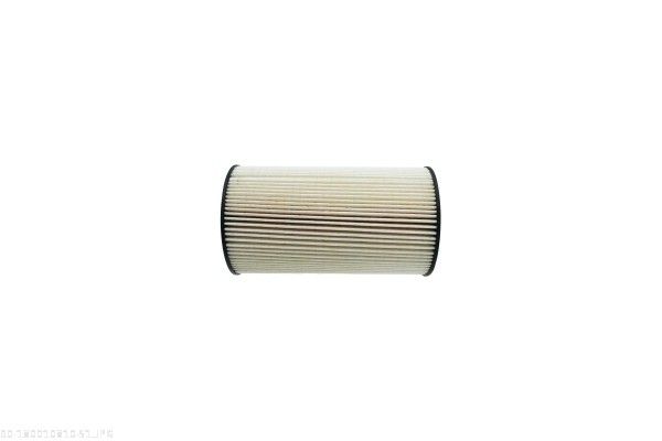 AUTOMEGA 180010810 Fuel Filter