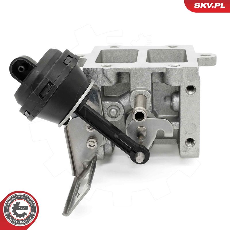 EGR-klapp, ESEN SKV 14SKV290