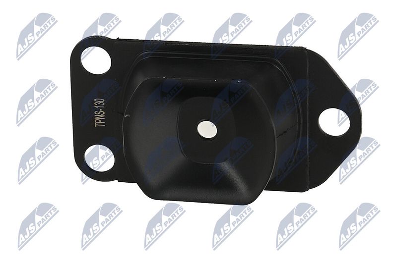 Paigutus, Mootor, NTY ZPS-NS-130