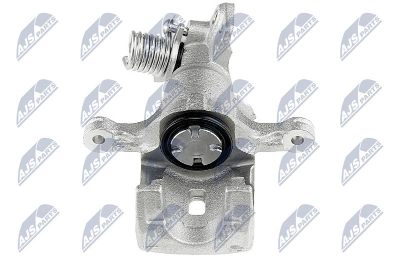 Pidurisadul, NTY HZT-NS-019