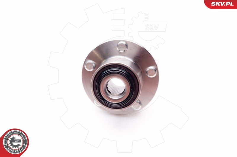 ESEN SKV 29SKV021 Wheel Bearing Kit