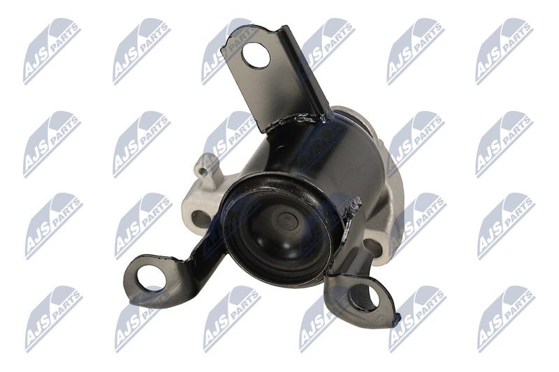 Paigutus, Mootor, NTY ZPS-FR-058