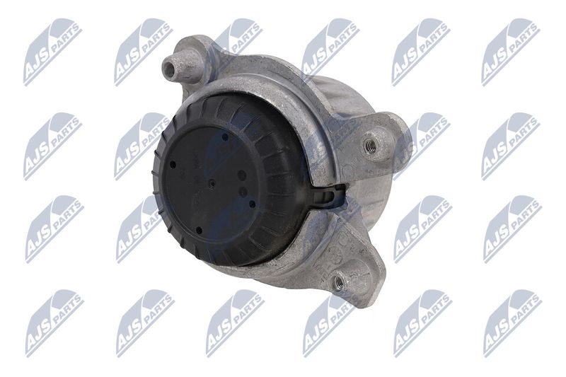 Paigutus, Mootor, NTY ZPS-ME-031