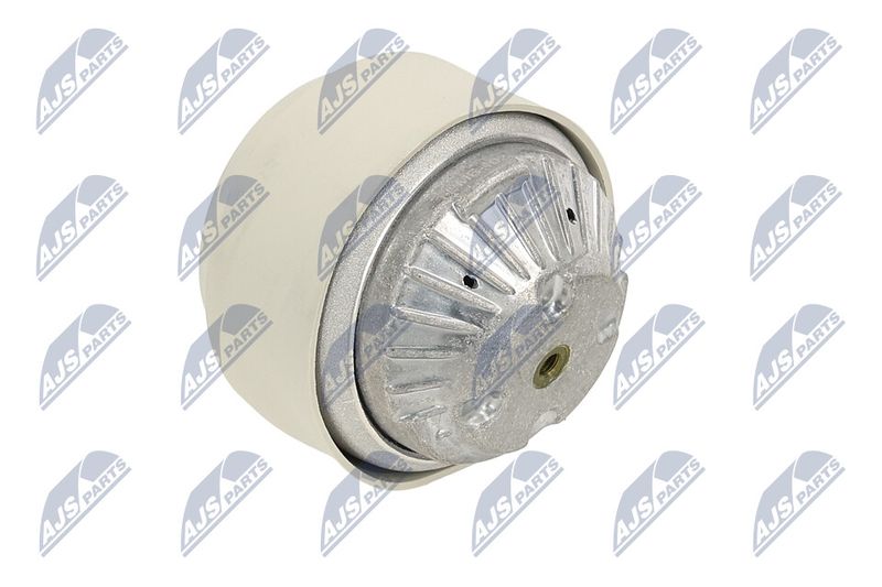 Paigutus, Mootor, NTY ZPS-ME-102