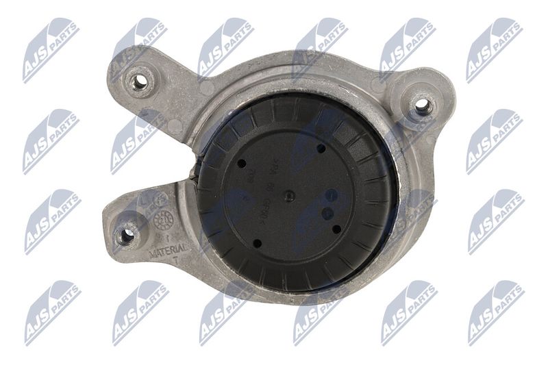 Paigutus, Mootor, NTY ZPS-ME-048