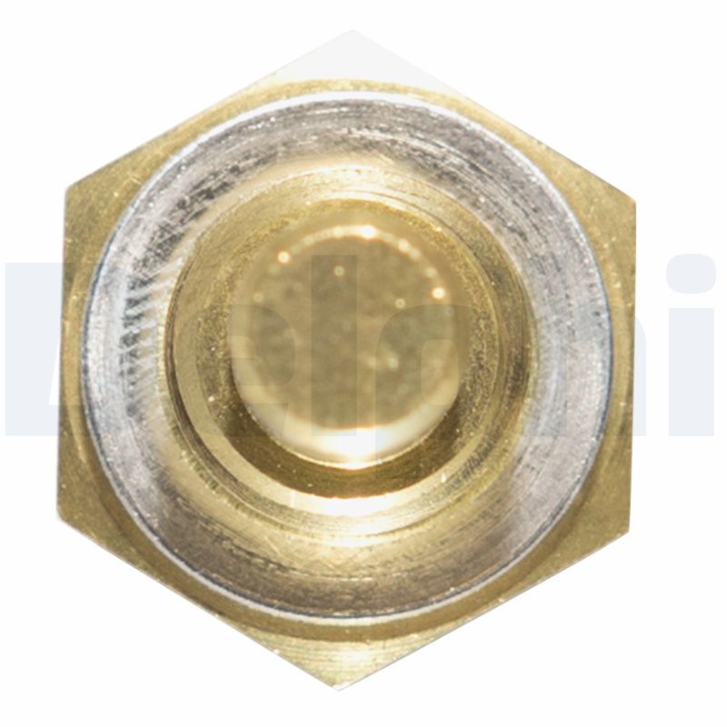DELPHI TS10253 Sensor, coolant temperature