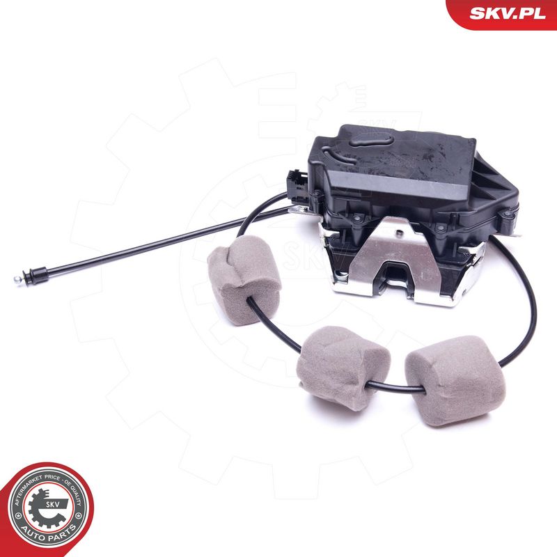 Tagaluugi sulgur, ESEN SKV...