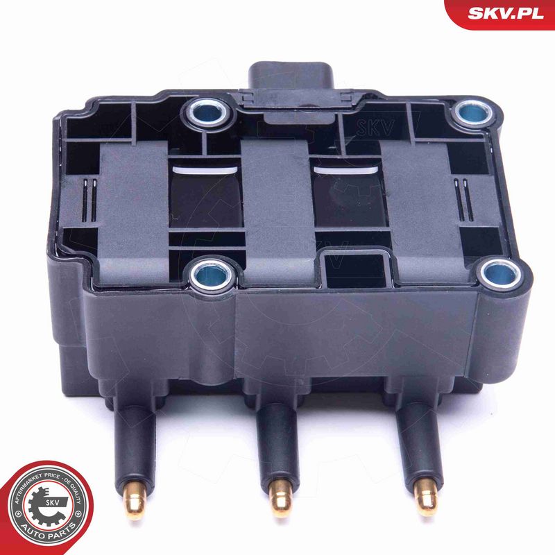 ESEN SKV 03SKV248 Ignition Coil
