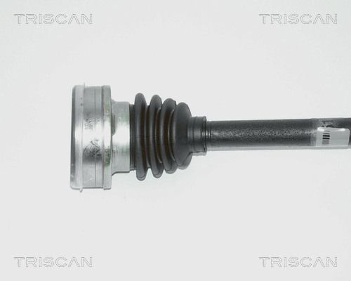 854029607_2.JPG
