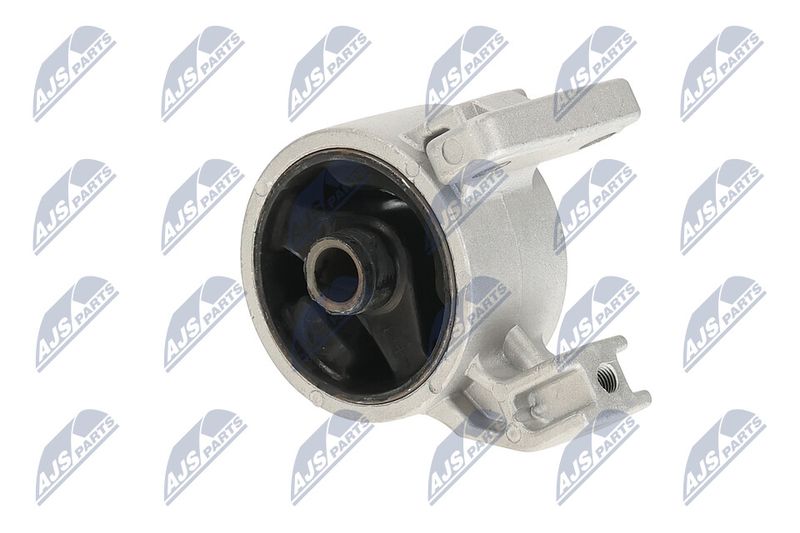 Paigutus, Mootor, NTY ZPS-KA-318