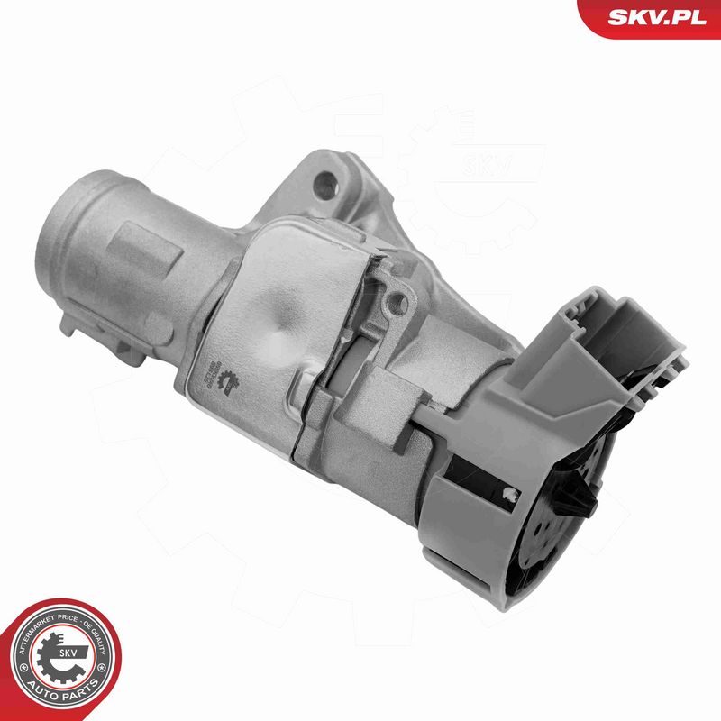 ESEN SKV 65SKV246 Steering Lock