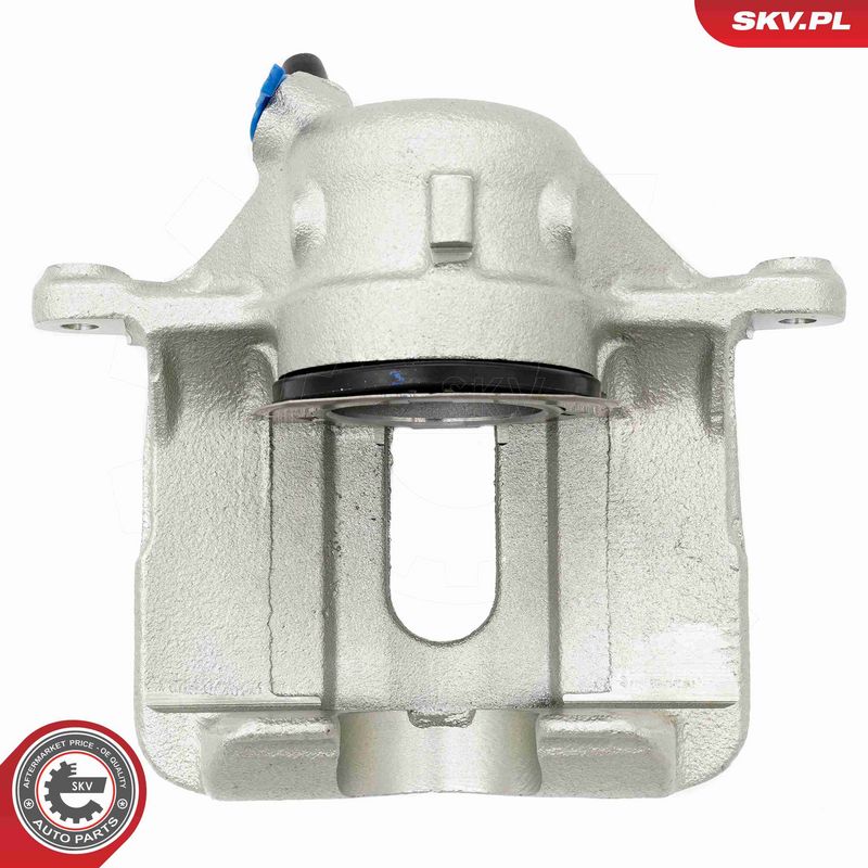 ESEN SKV 67SKV202 Brake Caliper
