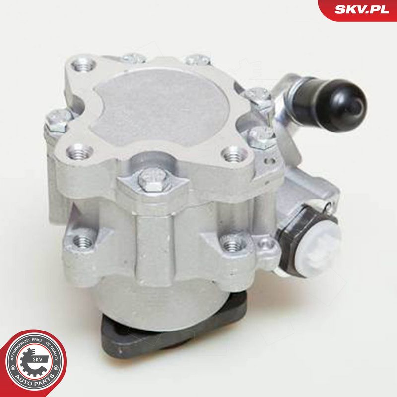 ESEN SKV 10SKV049 Hydraulic Pump, steering
