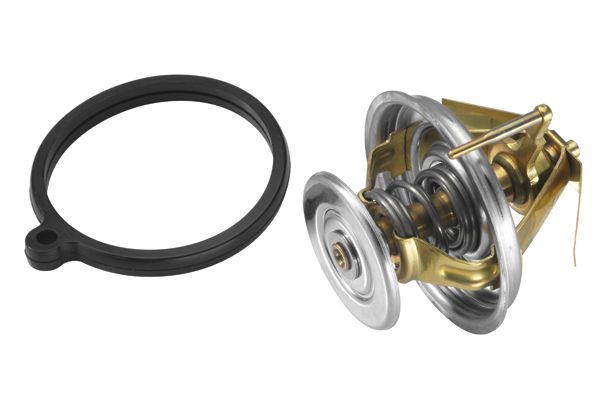 BorgWarner (Wahler) 4233.80D Thermostat, coolant