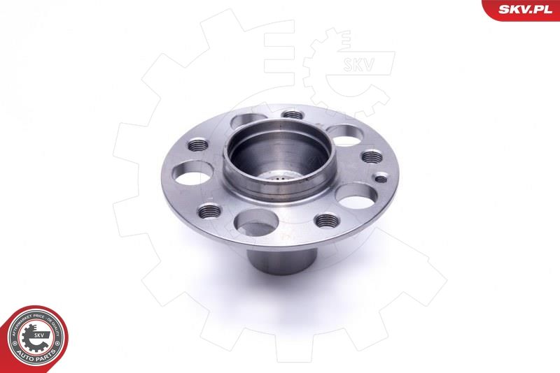 ESEN SKV 29SKV504 Wheel Bearing Kit