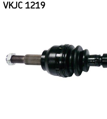 VKJC 1219_2.JPG