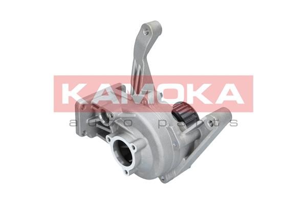 KAMOKA T0167 Water Pump, engine cooling